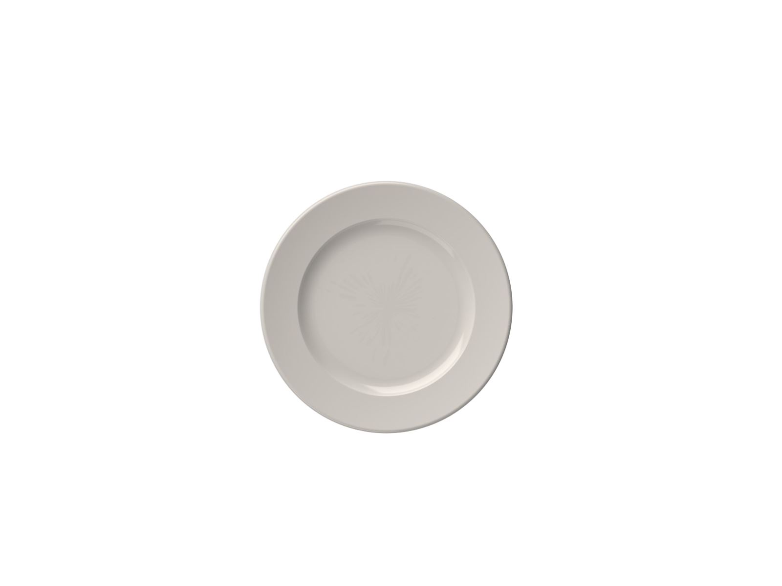 Frame 17 cm Flat Plate