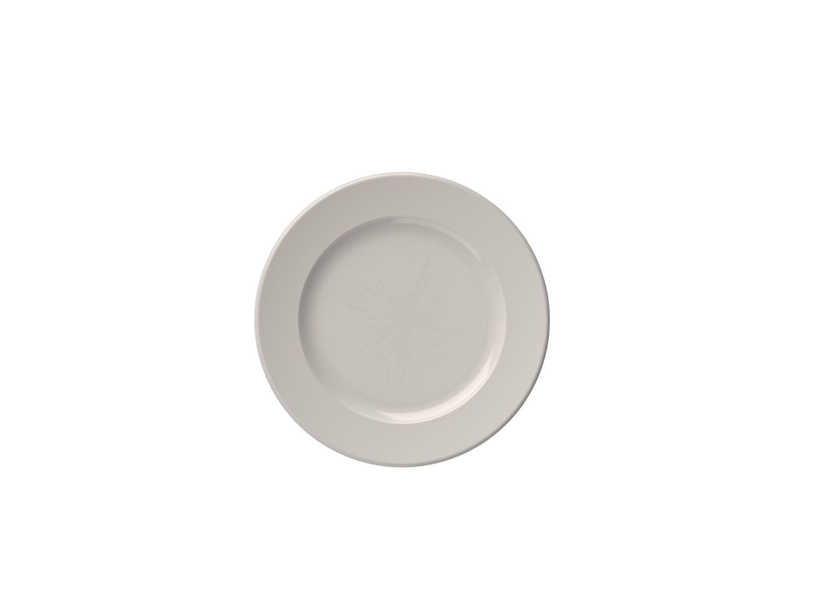 Frame 19 cm Flat Plate