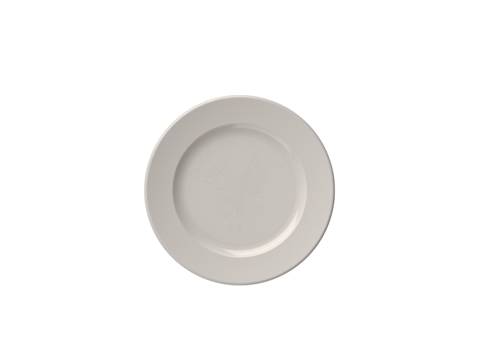 Frame 21 cm Flat Plate