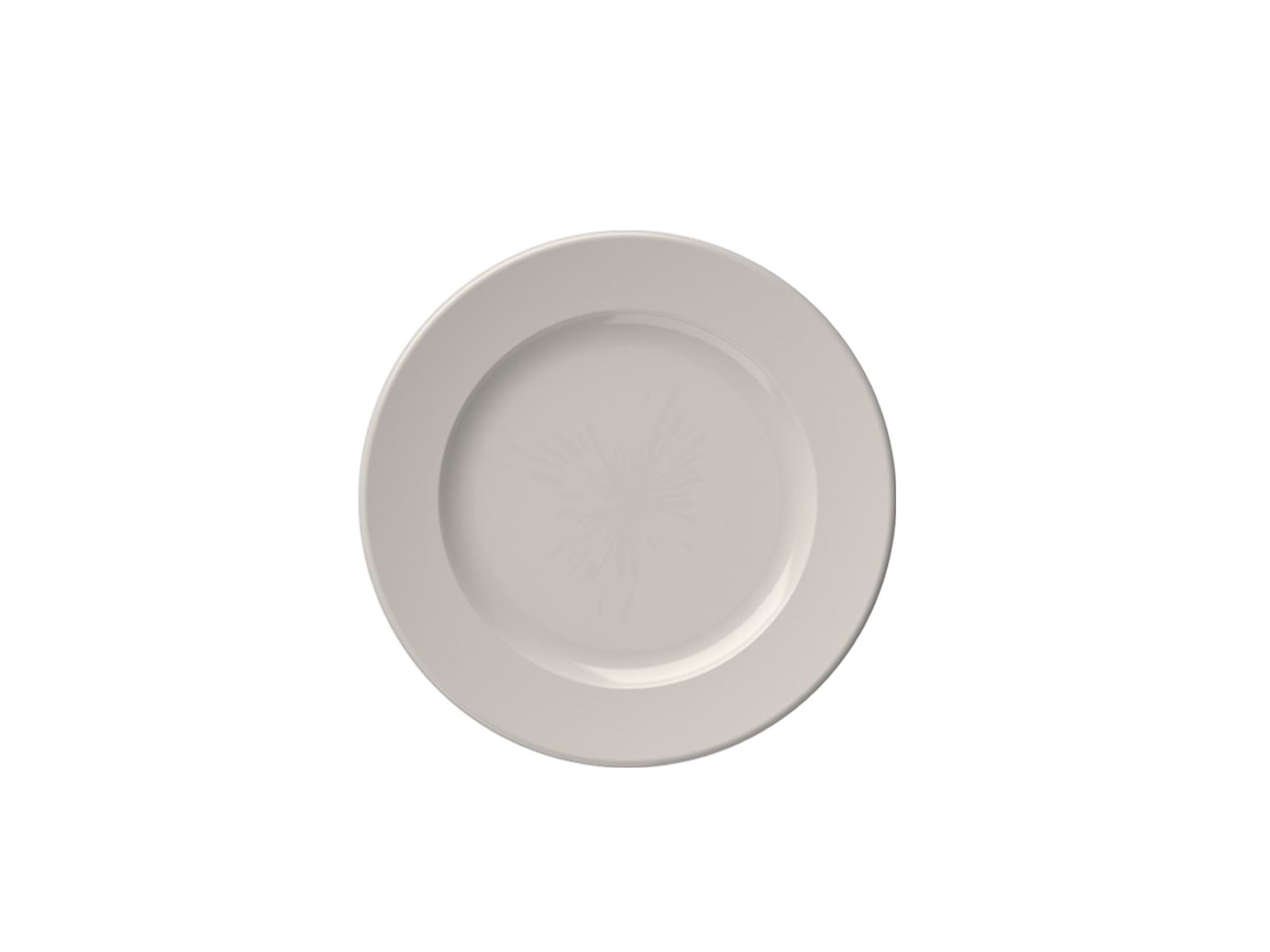 Frame 23 cm Flat Plate