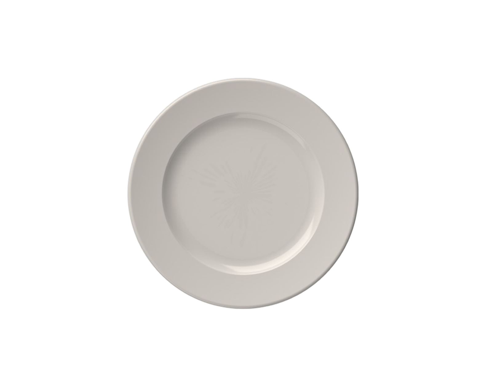 Frame 25 cm Flat Plate