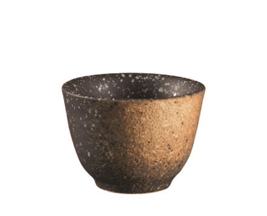 Sake Bardak