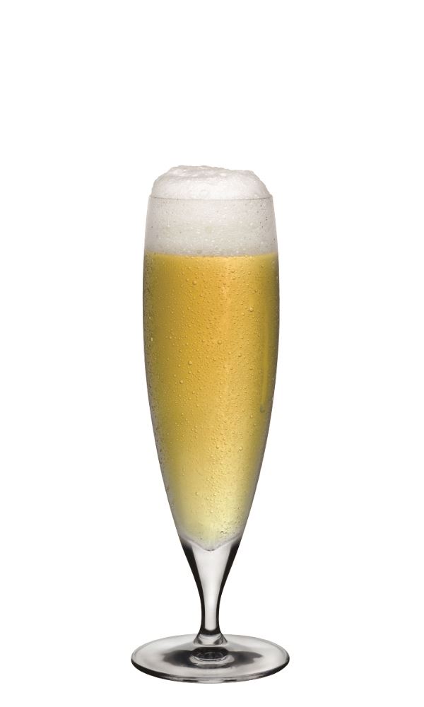 Pilsner Beer 66119 - 1054854